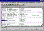Customers Table View.gif (16731 bytes)